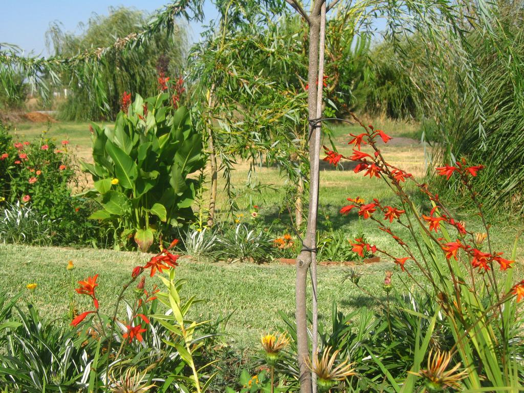 Casa Das Andorinhas Bed and Breakfast Palmela Buitenkant foto